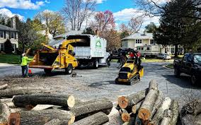 Best Lawn Pest Prevention  in Goleta, CA